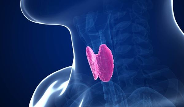 Thyroid